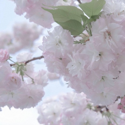 兽设表情绘制技巧FurryQQ群